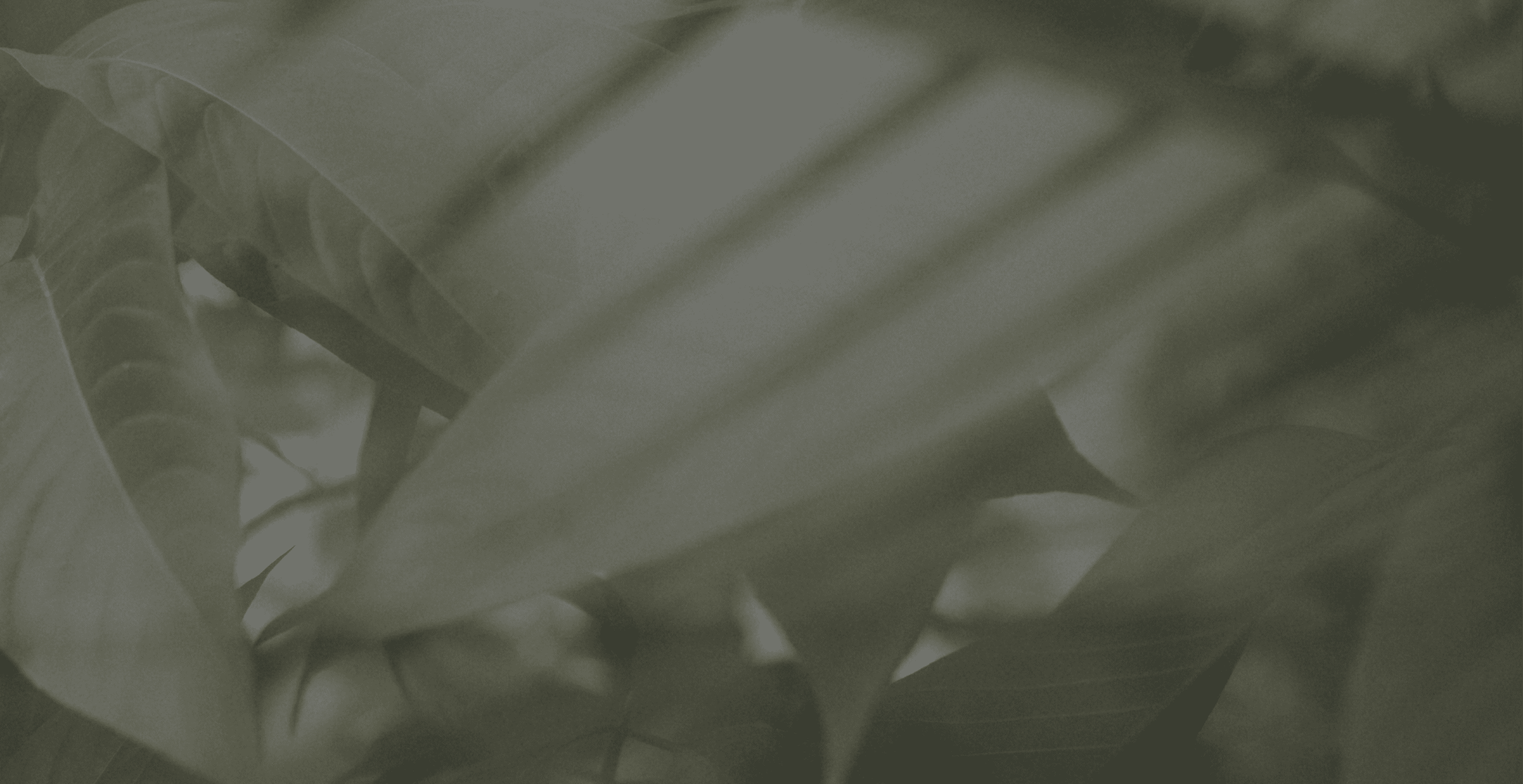 Bentro - Bercam Desarrollos