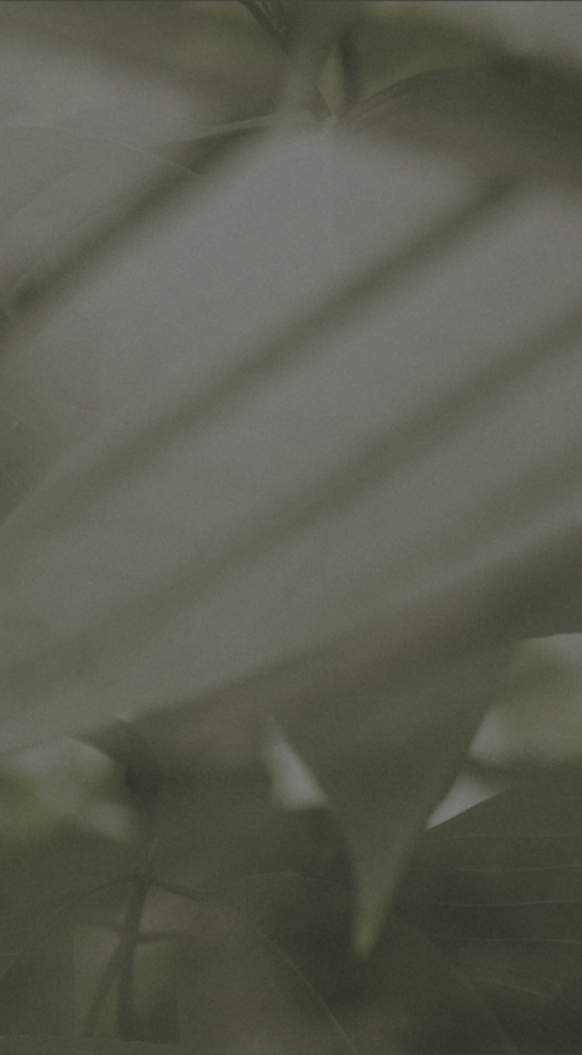 Bentro - Bercam Desarrollos